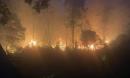 Cháy rừng trong đêm uy hiếp nhà dân, 3.000 người nỗ lực dập lửa